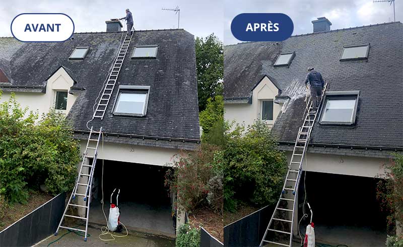 Nettoyage et démoussage toiture - TS BAULOISE : peintre sur la Baule (44) : Nettoyage et démoussage toiture, traitement anti mousse toit, peinture hydrofuge coloré toiture. Intervention en Loire-Atlantique (44)
